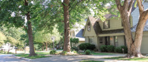 About Our Neighborhood