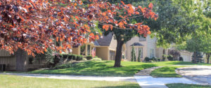 Resident Resources